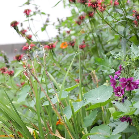 Traumhaftes Glamping-zelt In Unberuehrter Hinzert-Polert