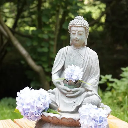 Luxussátor Traumhaftes Glamping-zelt In Unberuehrter Hinzert-Polert